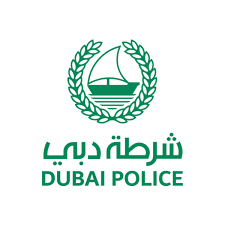Dubai Police Light Installation